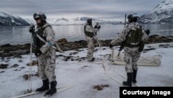 Pușcașii marini finlandezi participă la primele exerciții militare sub egida NATO de când țara lor este membră în alianță (Nordic Response 24. Foto: NATO) 