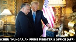 Премьер-министр Венгрии Виктор Орбан (слева) и бывший президент США, кандидат в президенты от Республиканской партии Дональд Трамп во время их встречи в Палм-Бич, Флорида, 8 марта 2024 года