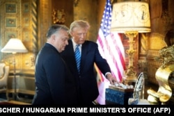 Дональд Трамп встречается с премьер-министром Венгрии Виктором Орбаном в своей резиденции в Мар-а-Лаго. 8 марта, 2024