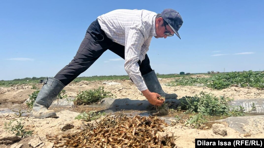 Өзбек секс кишлак прасто Дисней ханшайымының секс бейнелері