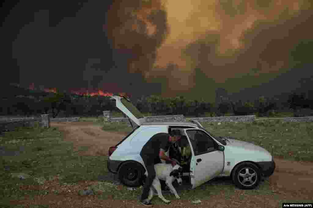 Një burrë duke futur qenin në veturë ndërsa po evakuohet nga zona e kapluar nga zjarri &nbsp;në fshatin Agios Charalampos, pranë Athinës, më 18 korrik 2023.
