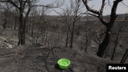 Kanta napunjena vodom vidi se pored ugljenisanog drveća, nakon šumskog požara u selu Kiotari, na ostrvu Rodos, Grčka, 27. jula 2023. 