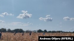 Romania: Crevedia is the place where a huge explosion took place