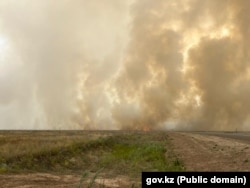 Степной пожар в Западно-Казахстанской области. 10 июля 2023 года