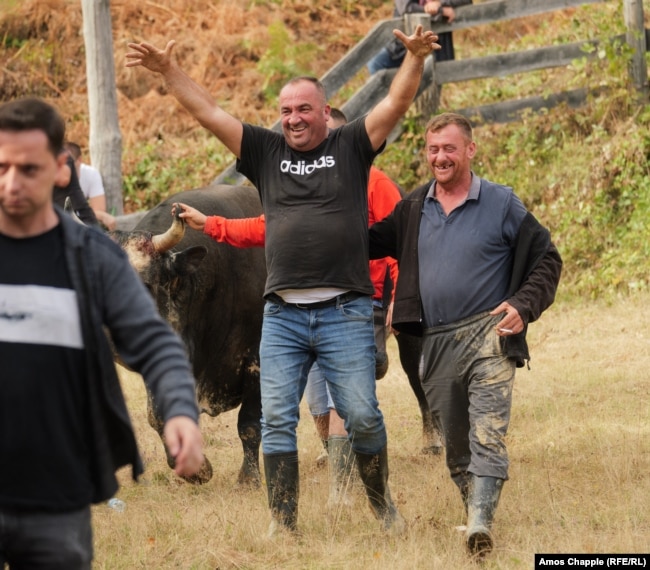 Jovo Vodjeviq Duman ngre duart lart nga gëzimi pasi demi i tij, Misko, fitoi në kategorinë e peshave të rënda.