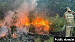 The fires have burned some 60,000 hectares of thick forest, but authorities said early on June 10 that the situation was "stabilizing."