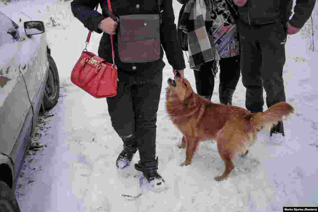 Iryna says goodbye to the family dog as they walk toward the evacuation van.