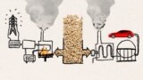Biomass explainer cover