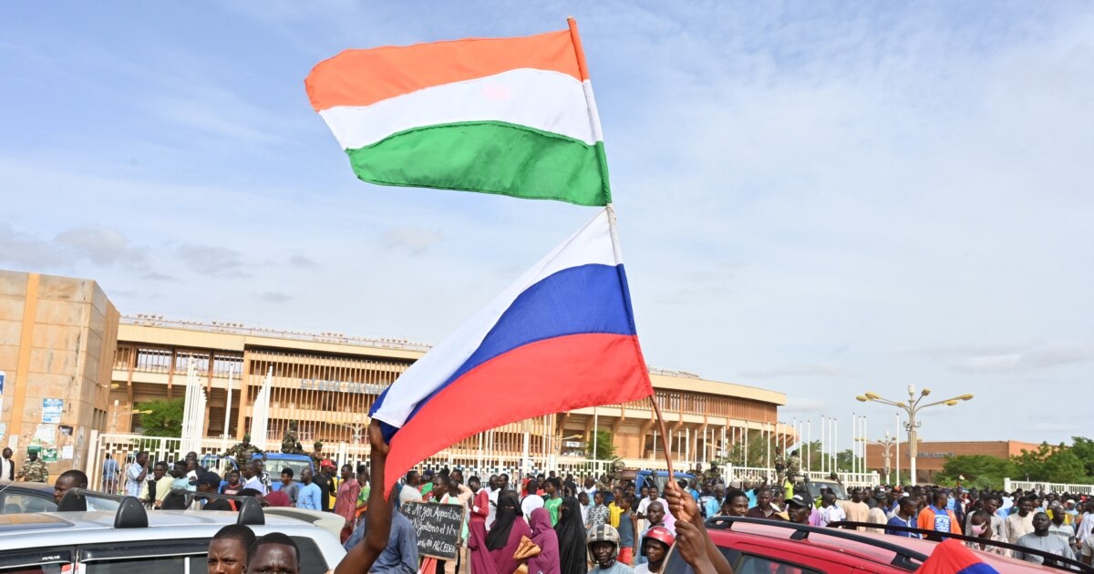 Нигериялық мүше Нигериялық мүше