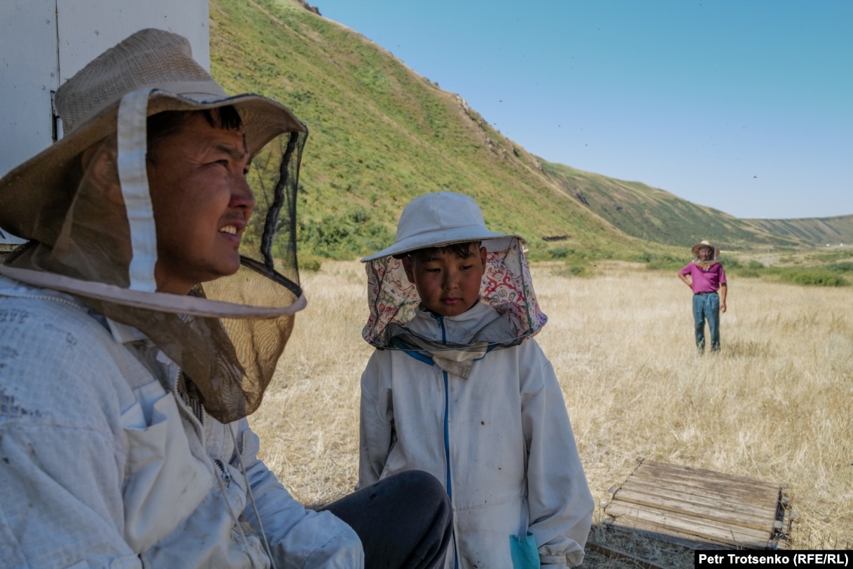 Beekeeper Tynychtyk Satarov (left) with his son Ulykbek in the Naryn region of Kyrgyzstan in early August.