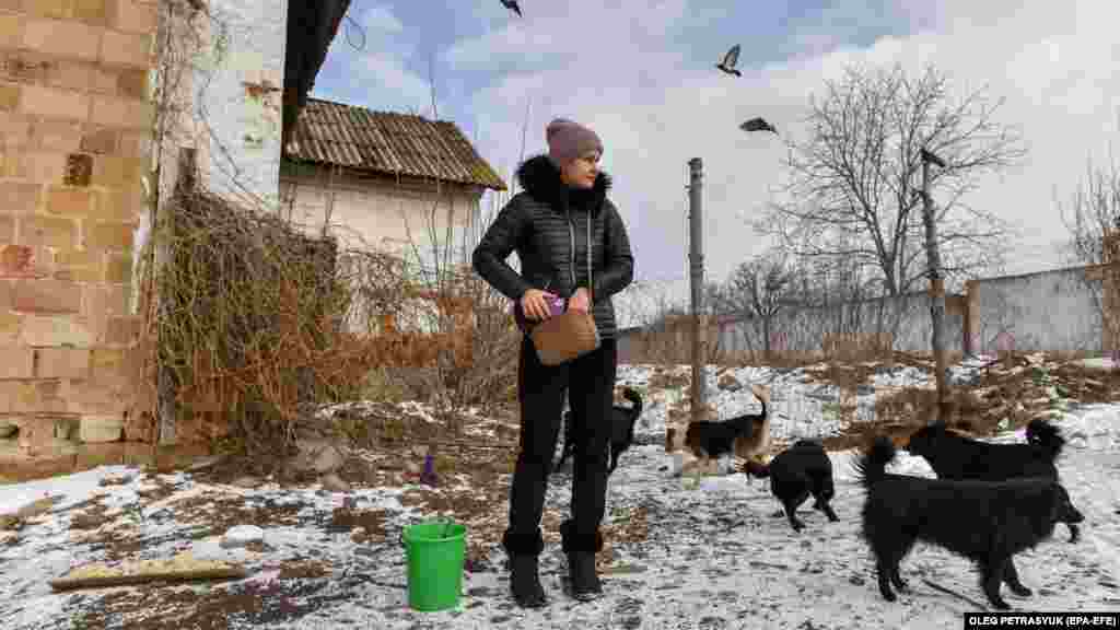 Megjithëse qyteti nuk është në vijën e frontit, bombardimet ruse vazhdojnë të godasin Druzhkivkan, duke vrarë dhe gjymtuar jo vetëm banorët, por edhe kafshët.