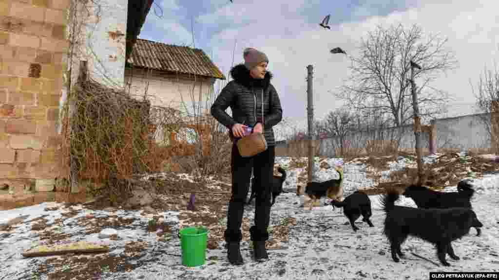 Iako grad nije na prvoj liniji fronta, rusko granatiranje nastavlja da pogađa Družkivku, ubijajući i sakateći ne samo njene stanovnike već i životinje. &nbsp;