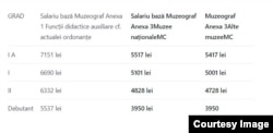 Sindicaliștii arată diferențele salariale brute între muzeografii de la muzeele universităților, plătiți tot de la bugetul de stat (în prima coloană) și muzeografii din muzeele naționale.