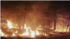 مدیرکل منابع طبیعی استان کهگیلویه و بویراحمد می‌گوید «احتمالا عامل انسانی» منشاء این آتش‌سوزی‌ها است