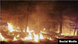 مدیرکل منابع طبیعی استان کهگیلویه و بویراحمد می‌گوید «احتمالا عامل انسانی» منشاء این آتش‌سوزی‌ها است