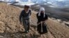 بارنده گی های اخیر در افغانستان امیدواری های تازهٔ برای دهقانان ایجاد کرده است 