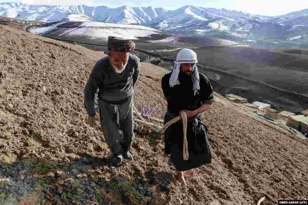 AFGHANISTAN-ECONOMY-AGRICULTURE -- Afghan farmers work at a farmland for poppy cultivation in Argo district of Badakhshan province. February 21, 2023