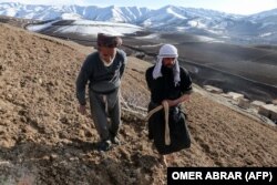 عدم توزیع کمک های زراعتی به دهقانان و کمبود آب از مشکلات اساسی در زمینه کاهش حاصلات زراعتی در افغانستان خوانده میشود