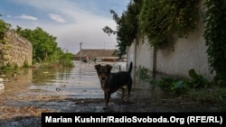 За ніч рівень води на Херсонщині знизився на 26 см