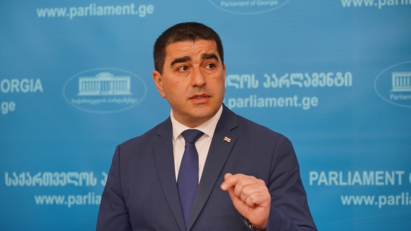 Папуашвили: учтем «содержательные рекомендации» западных партнеров в рамках вето