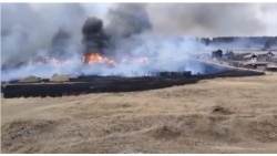 IMG_9971 (online-video-cutter.com).mp4