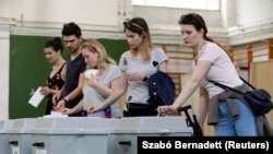 Budapesti szavazók az európai parlamenti választáson, 2019. május 26-án