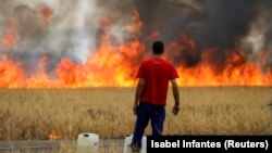 Pastir promatra vatru na polju pšenice između Tabare i Losacia, tokom drugog toplinskog vala u godini, u pokrajini Zamora, Španjolska, 18. juli 2022. 