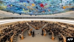 Շվեյցարիա - ՄԱԿ-ի Մարդու իրավունքների խորհրդի նստաշրջանը Ժնևում, արխիվ