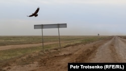 Дорога в село Сайхин, Западно-Казахстанская область. 30 июня 2023 года