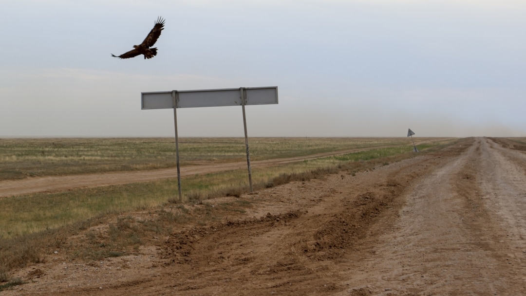 Жалаңаш татуировкалардың порнофотосуреттері
