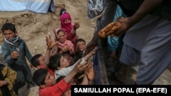 تا اکنون بسیاری از سازمان‌های بین‌المللی از کمبود غذا در افغانستان ابراز نگرانی‌ کرده‌اند.