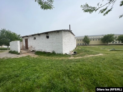 Әлемдегі барлық порно