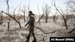 زمین‌های سوخته در پارک ملی کرخه