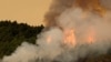 Пожар на Тенерифе вышел из-под контроля и приблизился к столице
