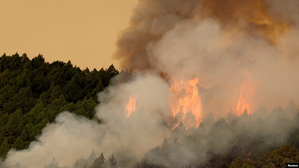 Fire in Tenerife, August 17, 2023