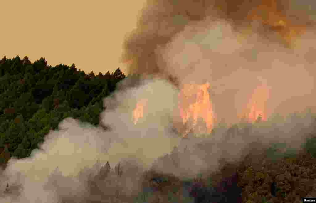 A lángok a Candelaria és Arafo területén lévő erdőkben és szakadékokban terjednek, ami megnehezíti a tűzoltók dolgát, ezért a hatóságok a Kanári-szigetek eddigi egyik legbonyolultabb tűzvészének tartják a mostanit