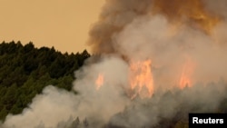 Пожар на Тенерифе, 17 августа 2023 года