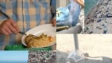 Risipa alimentară