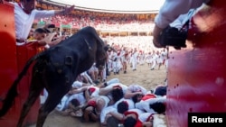Во моментот кога бик влегува во коридата, фестивалот Сан Фермин во Памплона, Шпанија, 7 јули 2024 година.