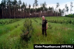 Віктор Стороженко показує, як відновлюється ліс