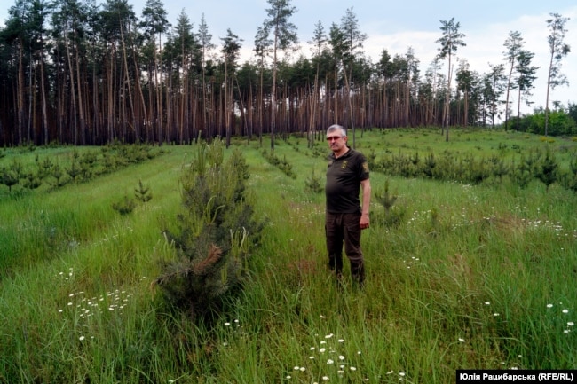 Віктор Стороженко показує, як відновлюється ліс