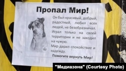 Объявление о пропаже собаки в Ярославле. Фото: nowobble.net