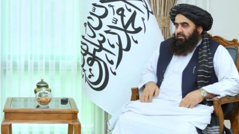 امیرخان متقی: سه کشور همسایه افغانستان زمینه فعالیت داعش در منطقه را مساعد ساخته اند