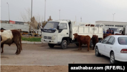Türkmenabadyň mal bazary (arhiw suraty). 