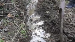 «Պիտի ստեղծենք, որ ապրենք». Ասկերանի գինեգործը Տավուշի խաղողից Ղարաբաղի համն է ստանալու