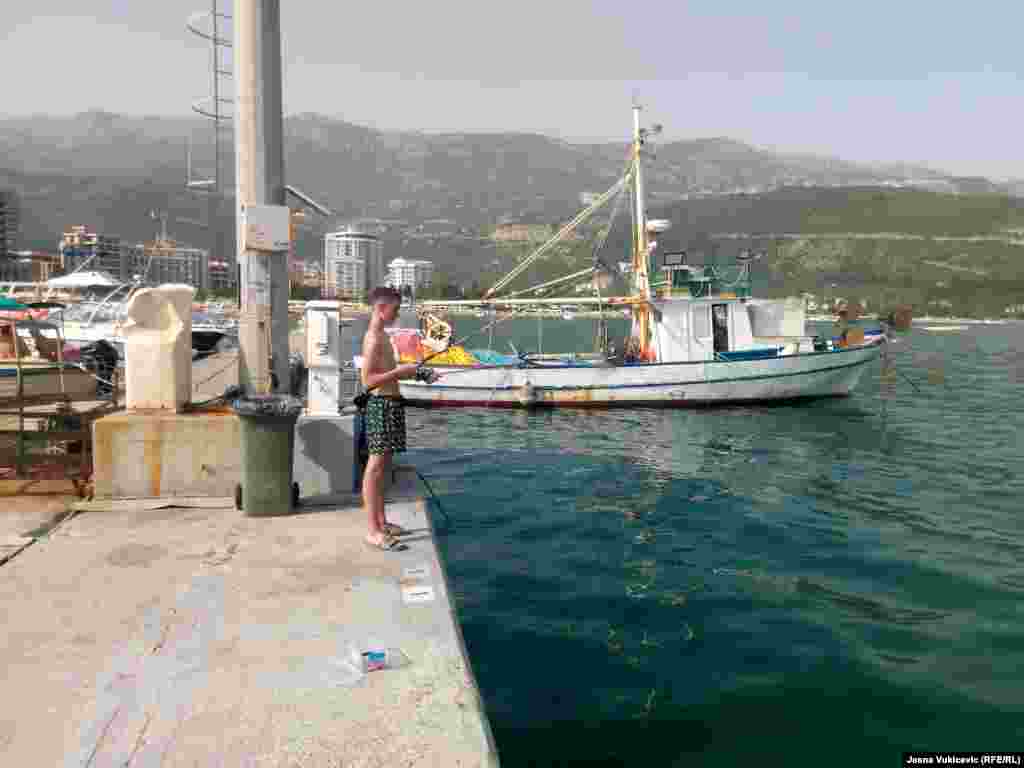 Prošle godine je u Crnoj Gori izlovljeno 670 tona ribe, a uzgojeno 120 tona (orade i brancina), i oko 260 tona školjki - mušlji i kamenica. Prema podacima iz 2022, godišnja domaća ribarska proizvodnja je između 10 i 12 miliona eura, no to je ispod potreba tokom turističke sezone.
