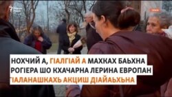 Махках баьхна нохчий, гIалгIай дагалецна Европехь