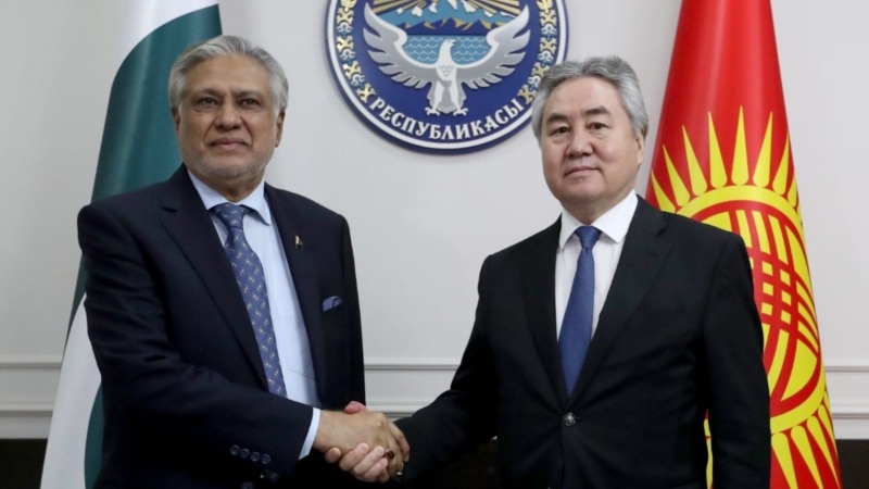 Кыргызстан жана Пакистан министрлери Бишкектеги окуяны талкуулашты