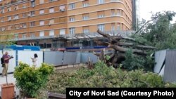 Novi Sad posle nevremena: Pozivi za pomoć u sanaciji štete