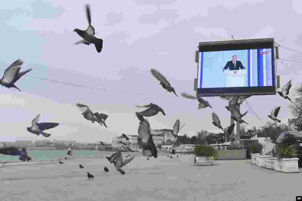 Pigeons take off from the beach in front of a TV screen showing Russian President Vladimir Putin during his annual state of the nation address, in Sevastopol, Crimea.
